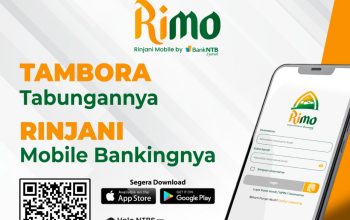 IMG 20260312 WA0033(2)